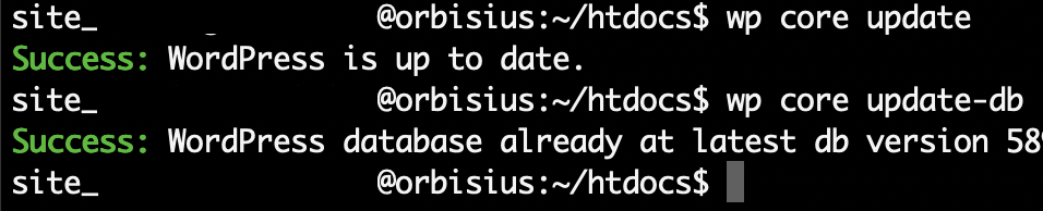 Wp Cli Wp Core Update
